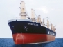 Tàu Vinaship
