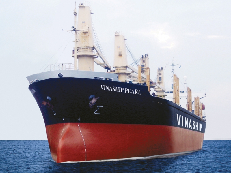 vinaship-thua-lo